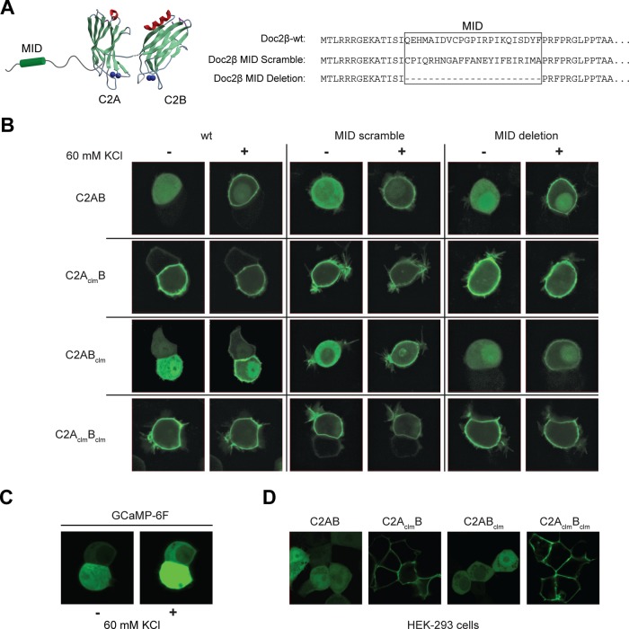 FIGURE 4: