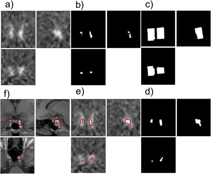 Supplementary Fig. 2