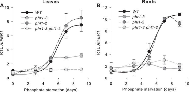 FIGURE 3.