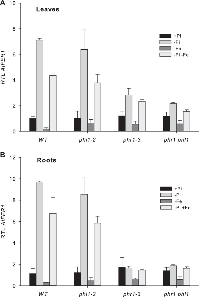 FIGURE 4.