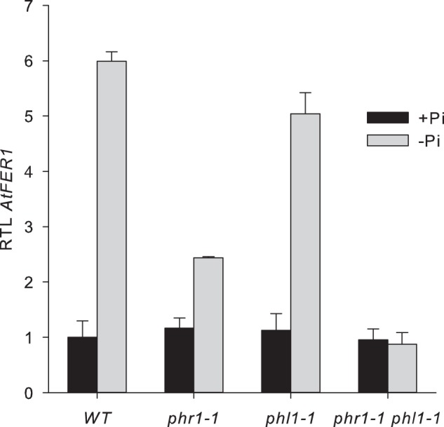 FIGURE 5.