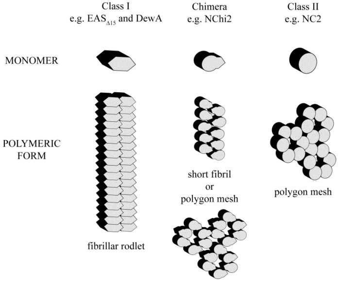 Figure 8