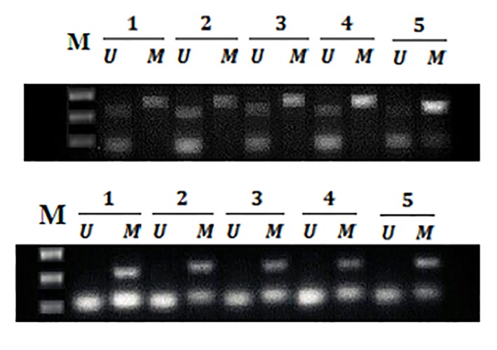 Figure2