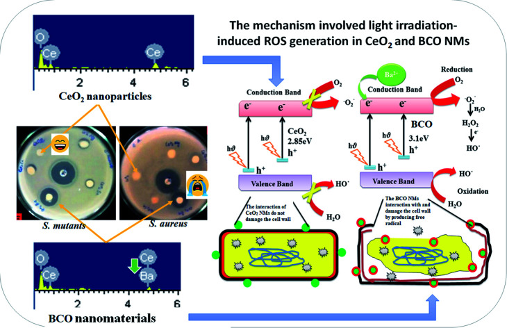 graphic file with name d1ra05948c-ga.jpg