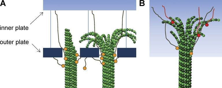 Figure 9.