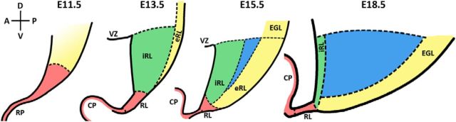 Figure 11.