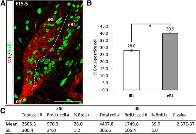 Figure 10.