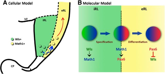 Figure 12.