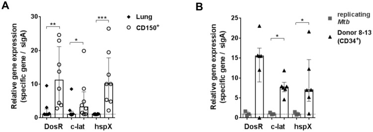 Fig 5