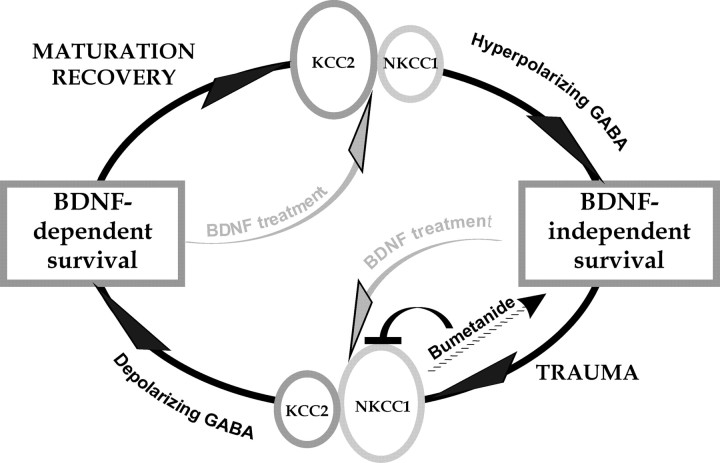 Figure 10.