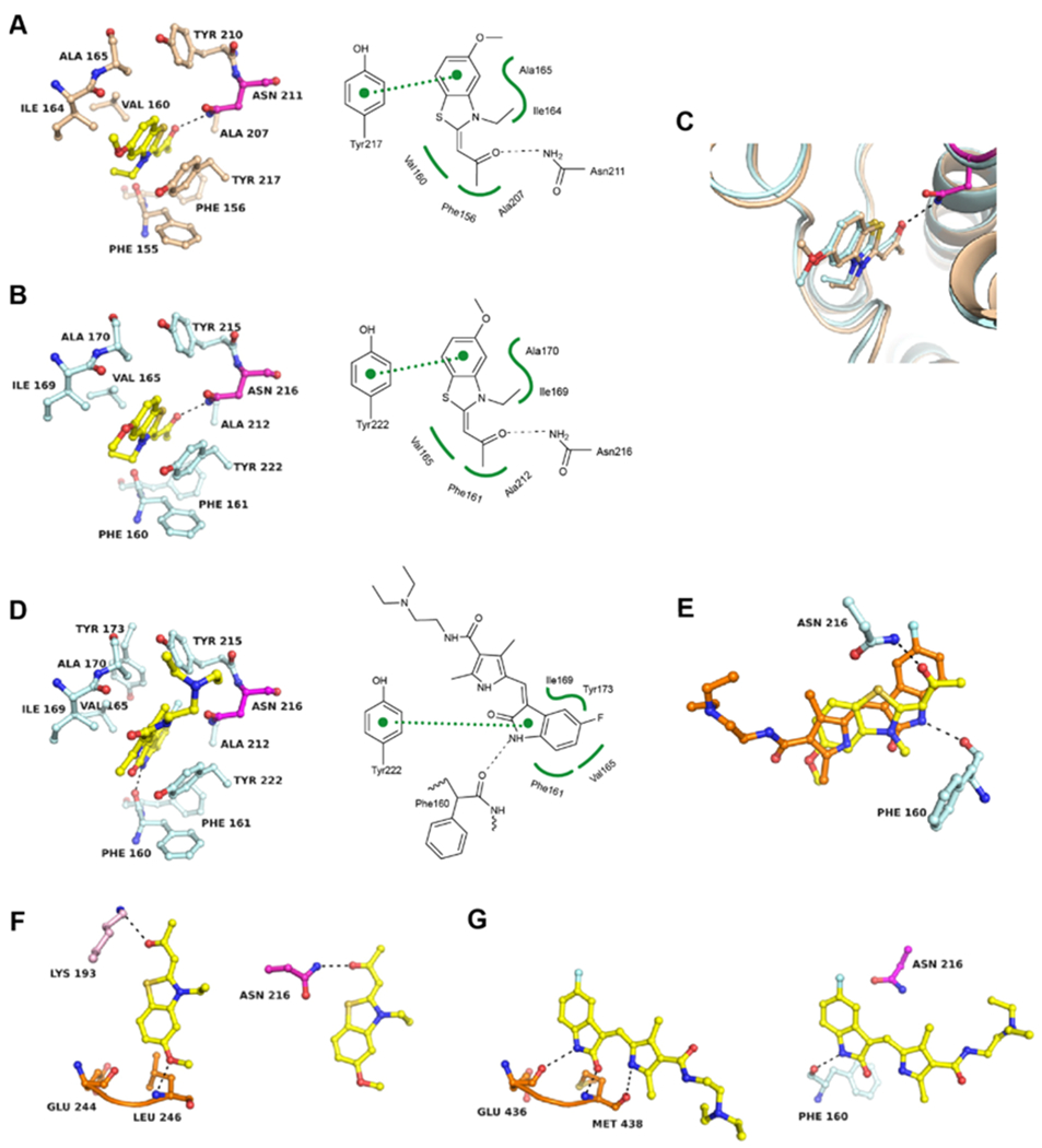 Figure 6.