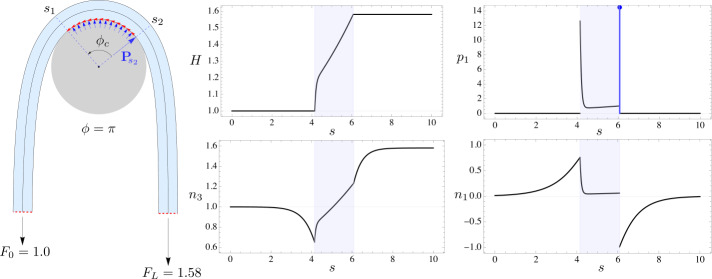 Fig. 6