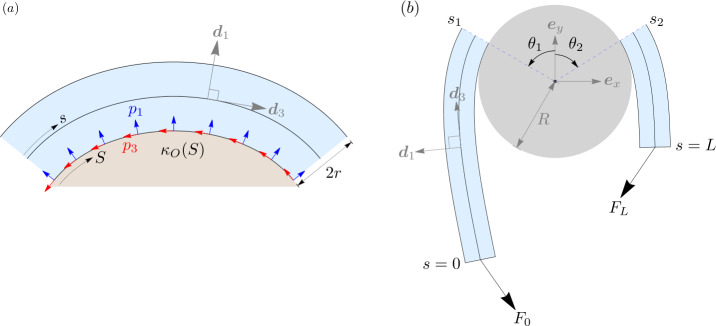 Fig. 2