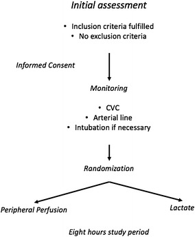 Fig. 1