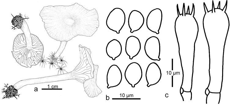Figure 6.