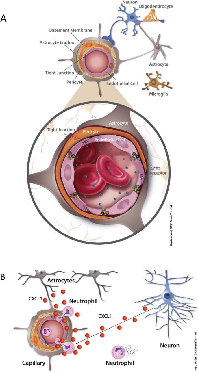 Fig. 3