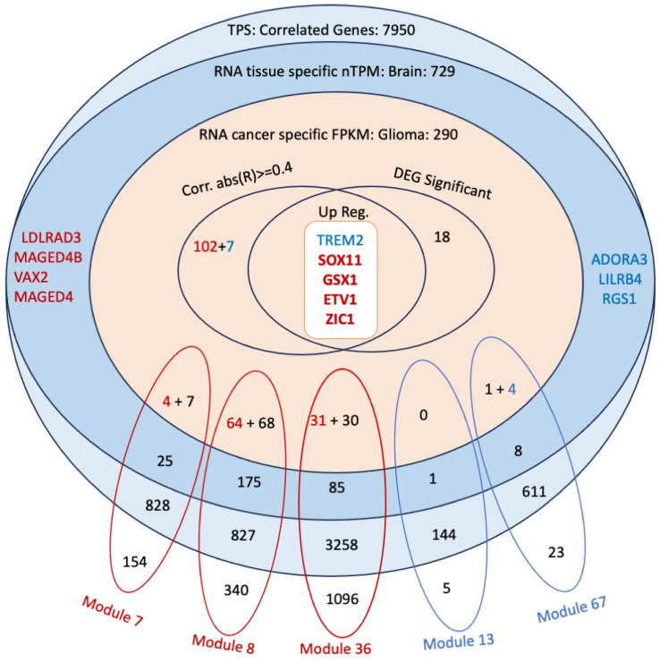 Figure 7