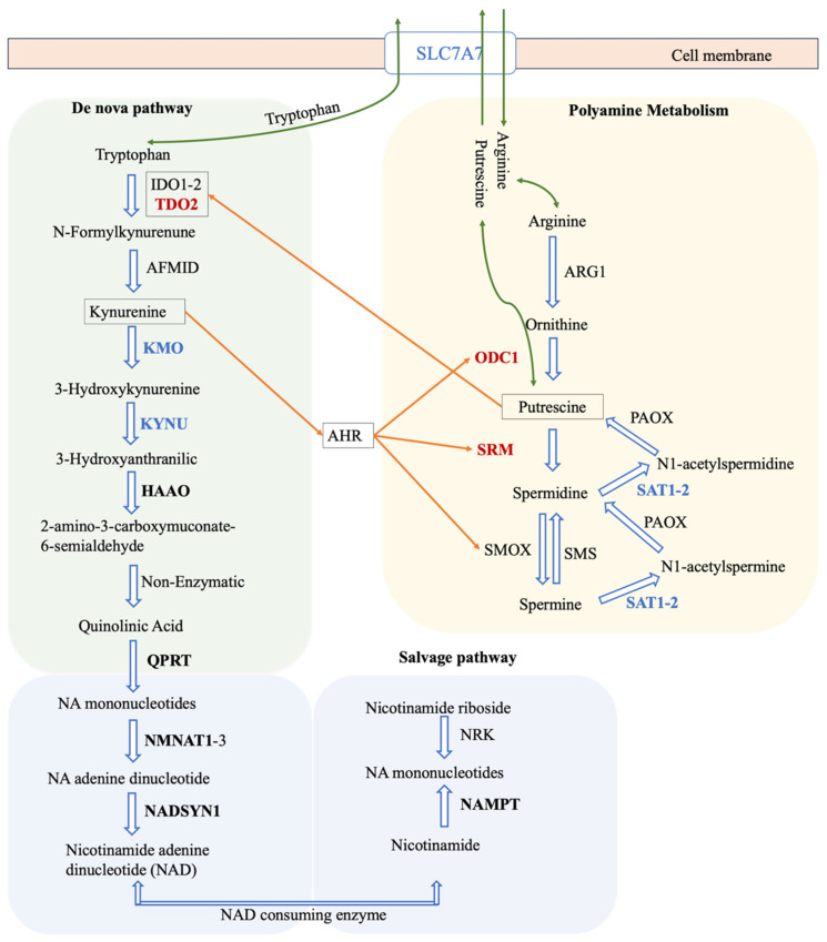 Figure 6