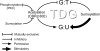 Figure 8.
