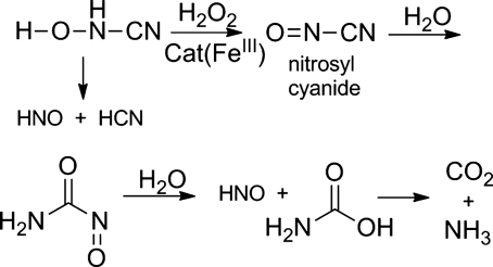 FIG. 12.