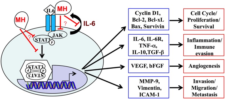 Figure 11