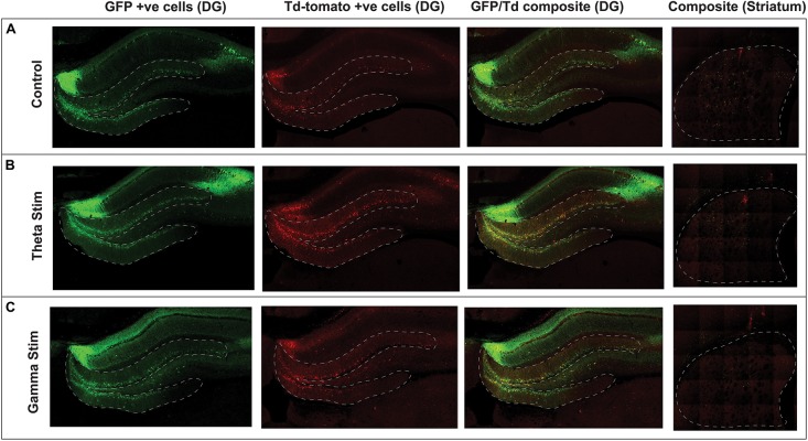 FIGURE 3