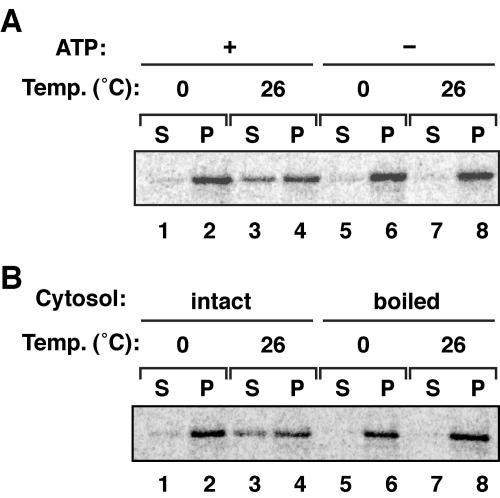 FIG. 5.