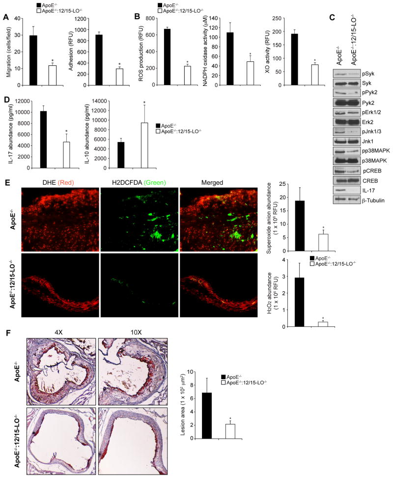 Fig 8