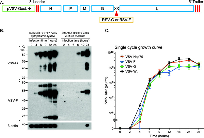 FIG 1