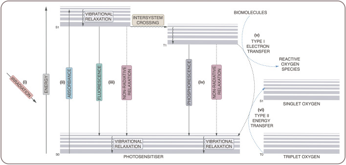 Fig. 1.