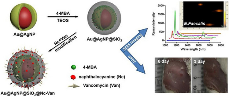 Fig. 6