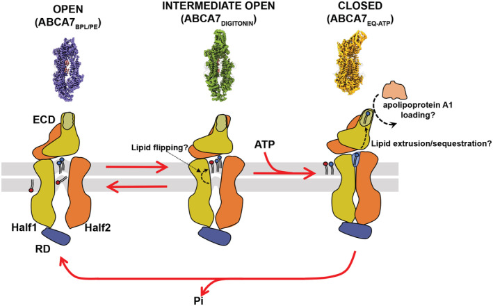 Figure 6