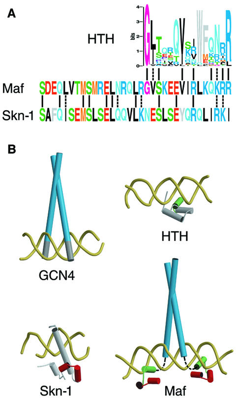 graphic file with name cde063f7.jpg