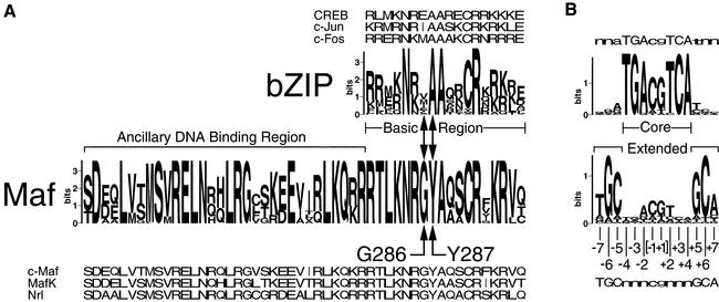 graphic file with name cde063f1.jpg