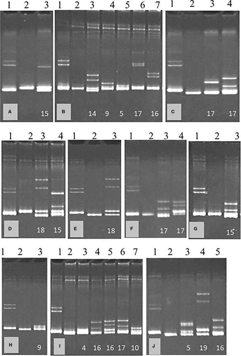 Figure 3