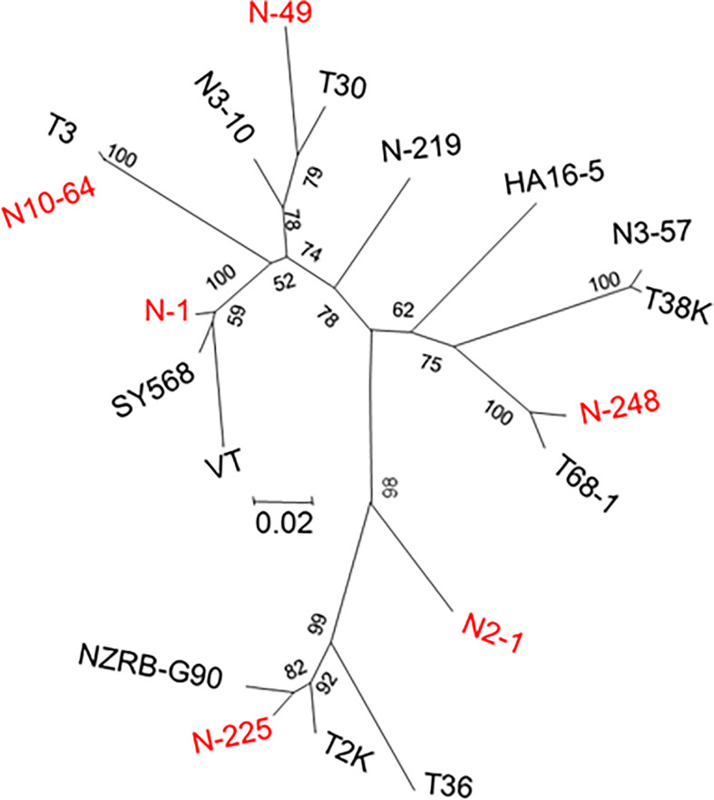 Figure 2