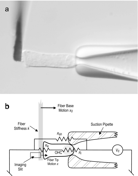 FIG. 1