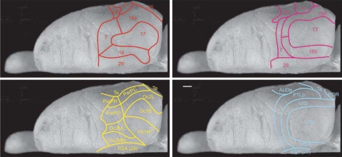 Fig. 3.