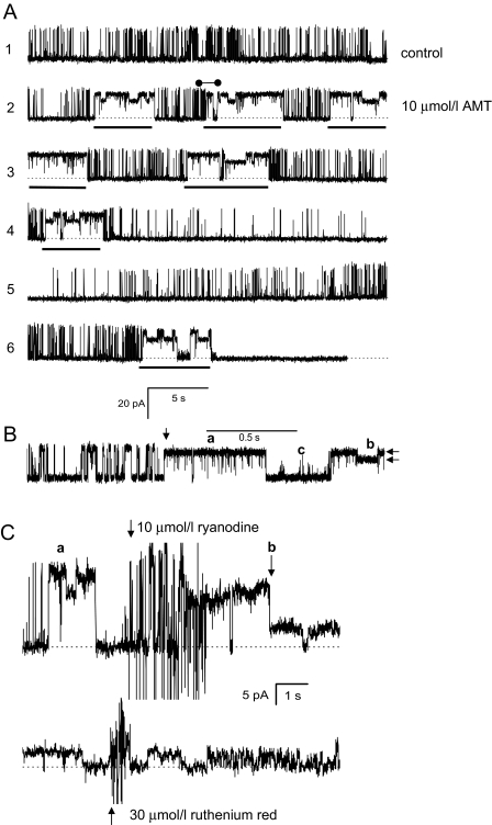 Fig. 1.