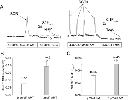 Fig. 10.