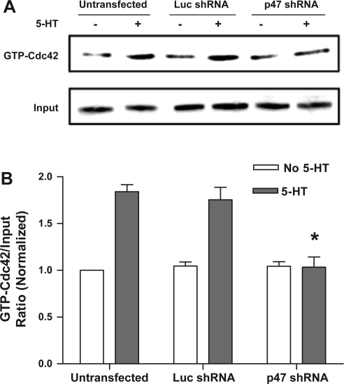 Fig. 6.