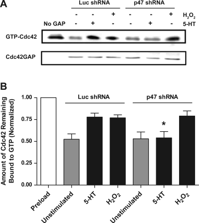 Fig. 4.