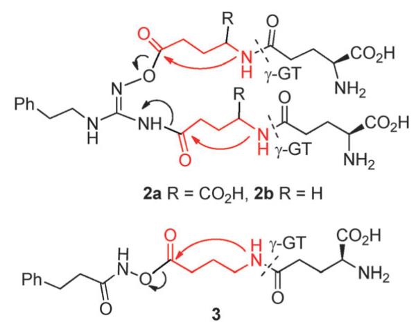 Scheme 3