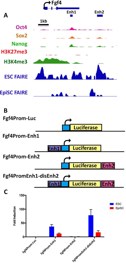 Figure 5