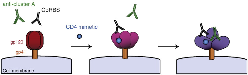 Fig. 6