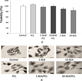 Fig. 11