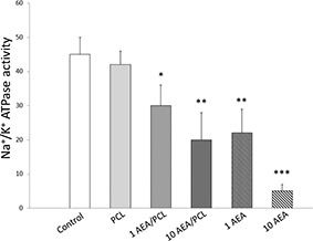 Fig. 10