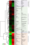 Figure 2—figure supplement 5.