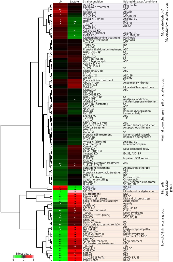 Figure 2—figure supplement 5.