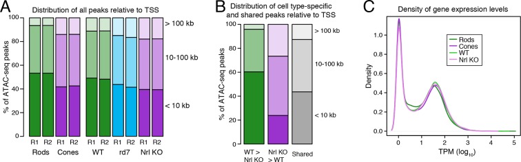 Figure 3—figure supplement 3.